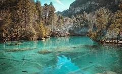 永川夏槐建筑有限公司